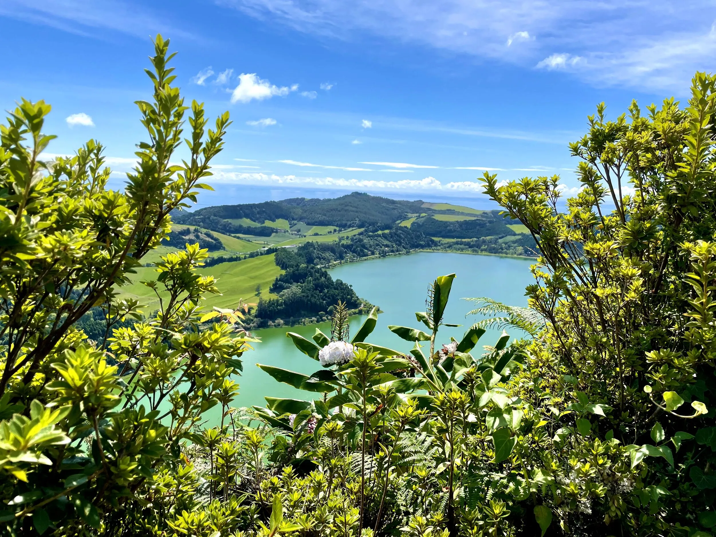 1918 sete cidades view