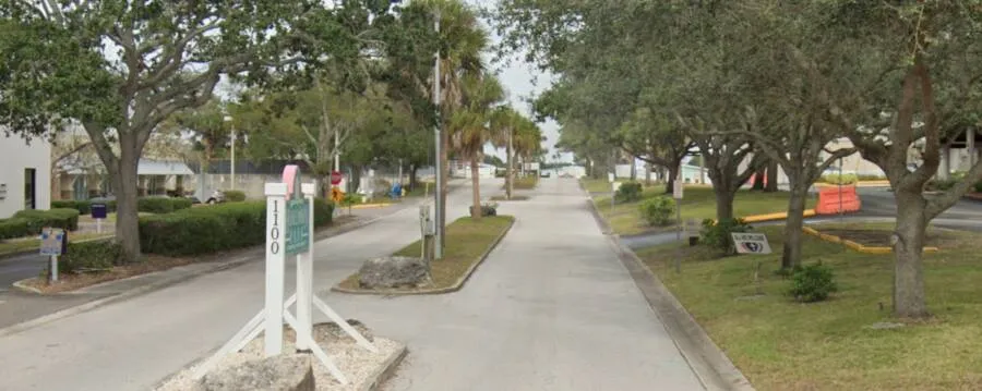 2021 dunedin downtown