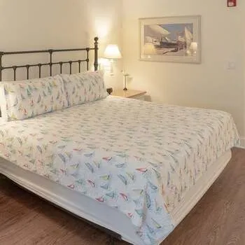 2021 kayaking dunedin