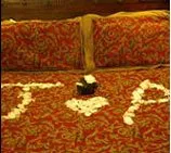 2042 denver museum of art