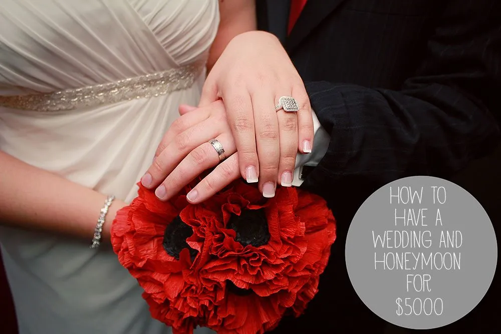 2061 budget accommodation