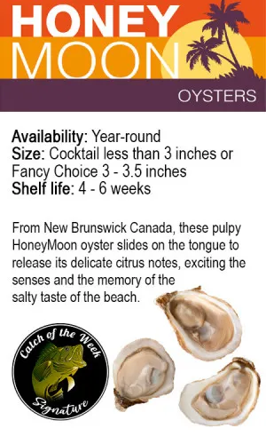 2086 honeymoon oysters oyster bar