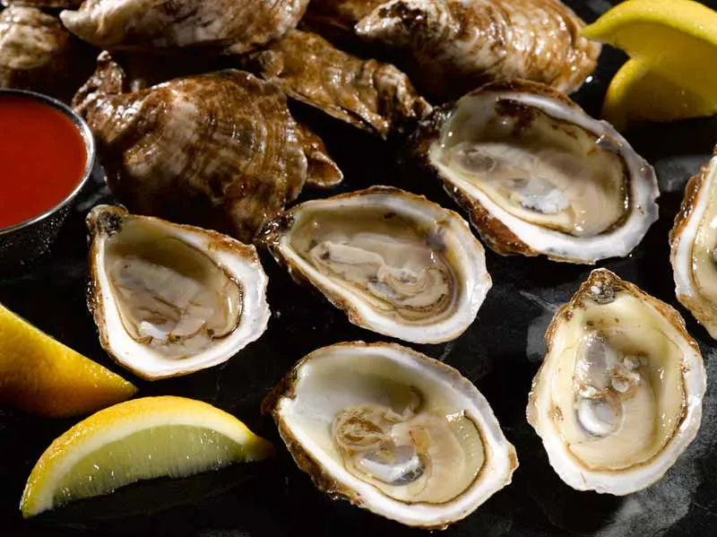 2086 honeymoon oysters oyster pairing
