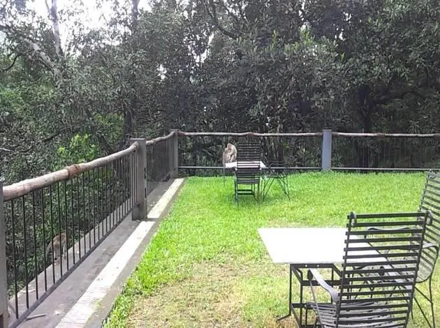 2103 indian wedding style