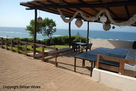 2113 wildlife mozambique