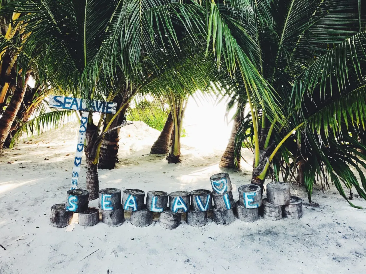 2135 maldives honeymoon beach