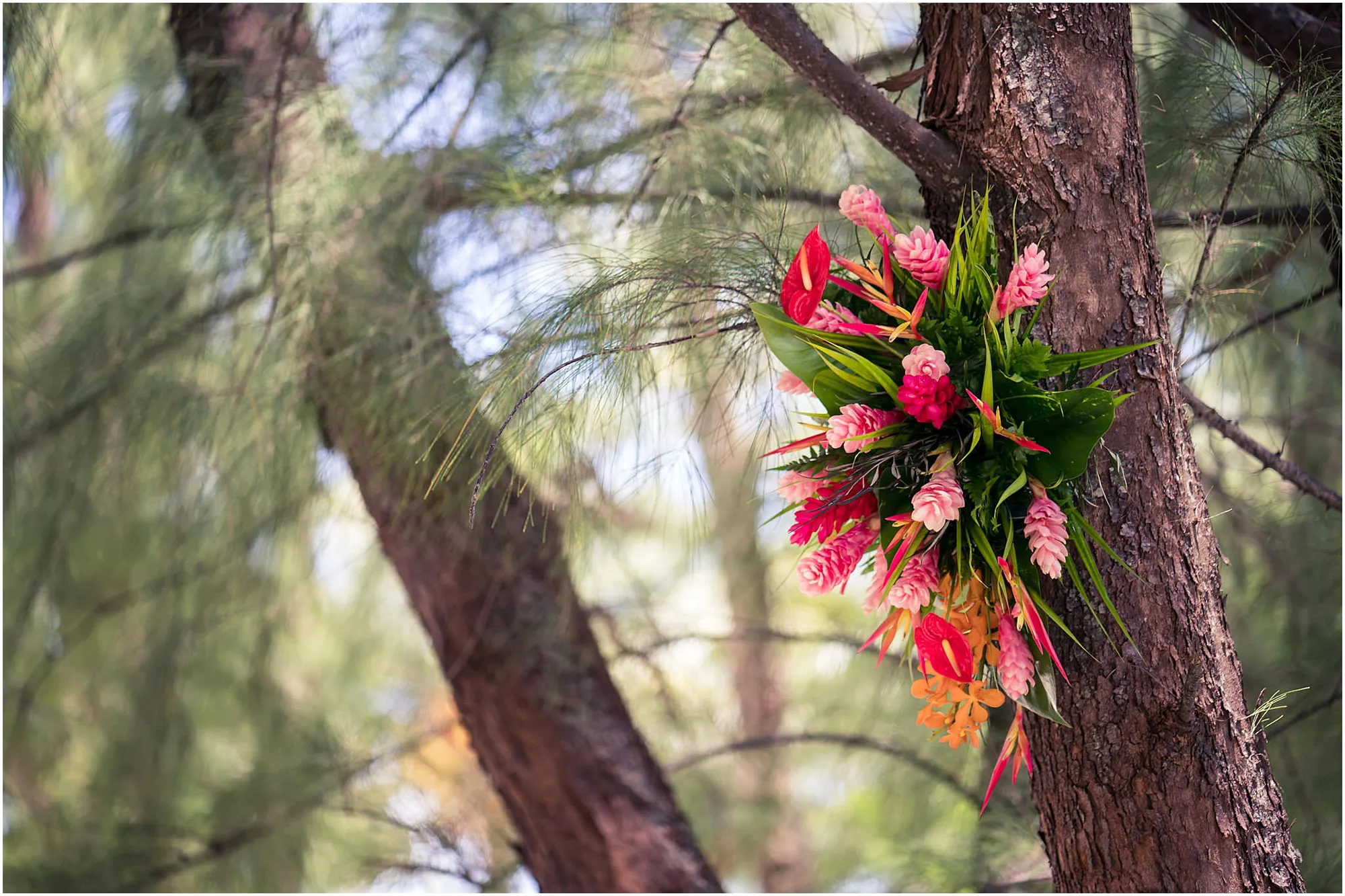 2146 bora bora package luxury