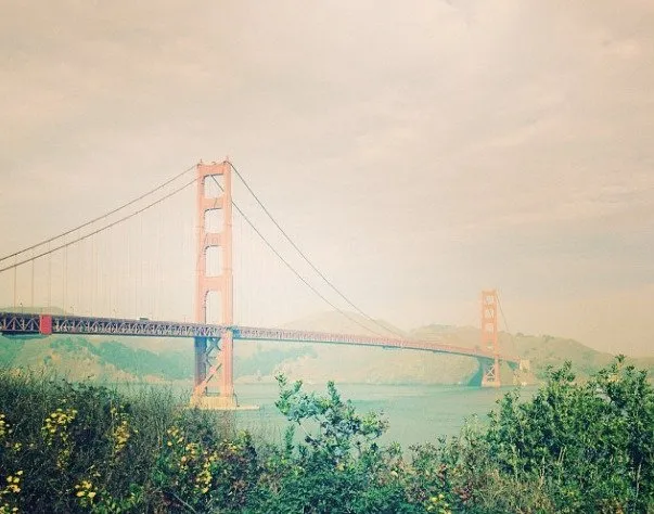 2166 golden gate park couple