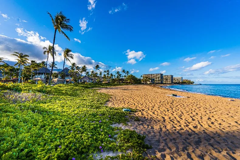 2185 mountain honeymoon couple