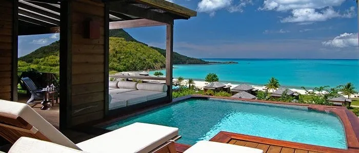 2223 secrets wild orchid