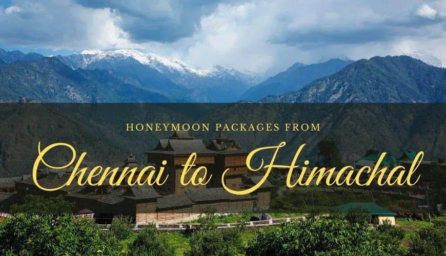 2239 spa retreat chennai