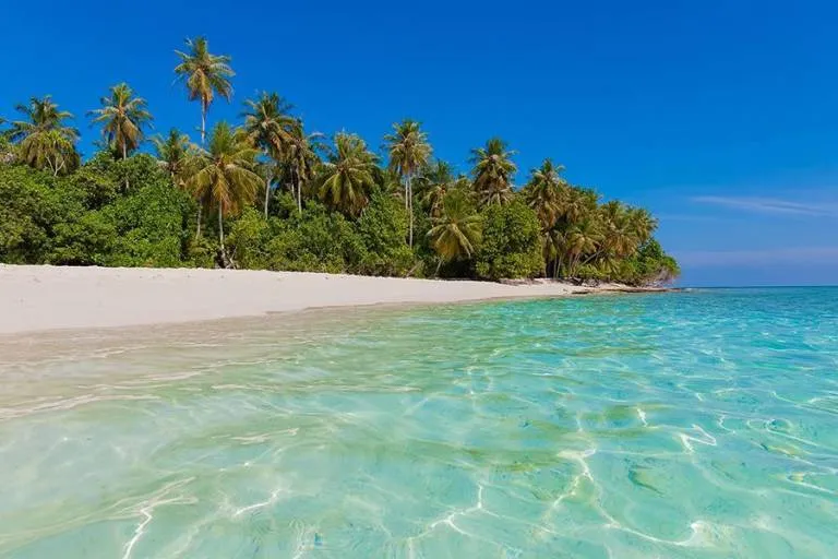 2240 key west sunset