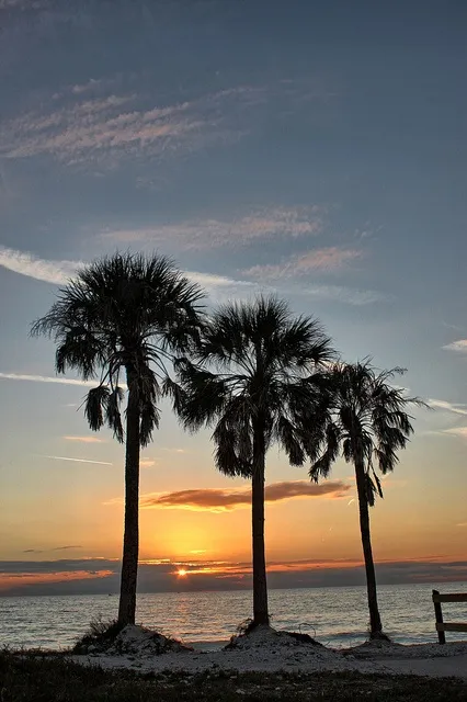 2242 sunset key cruise