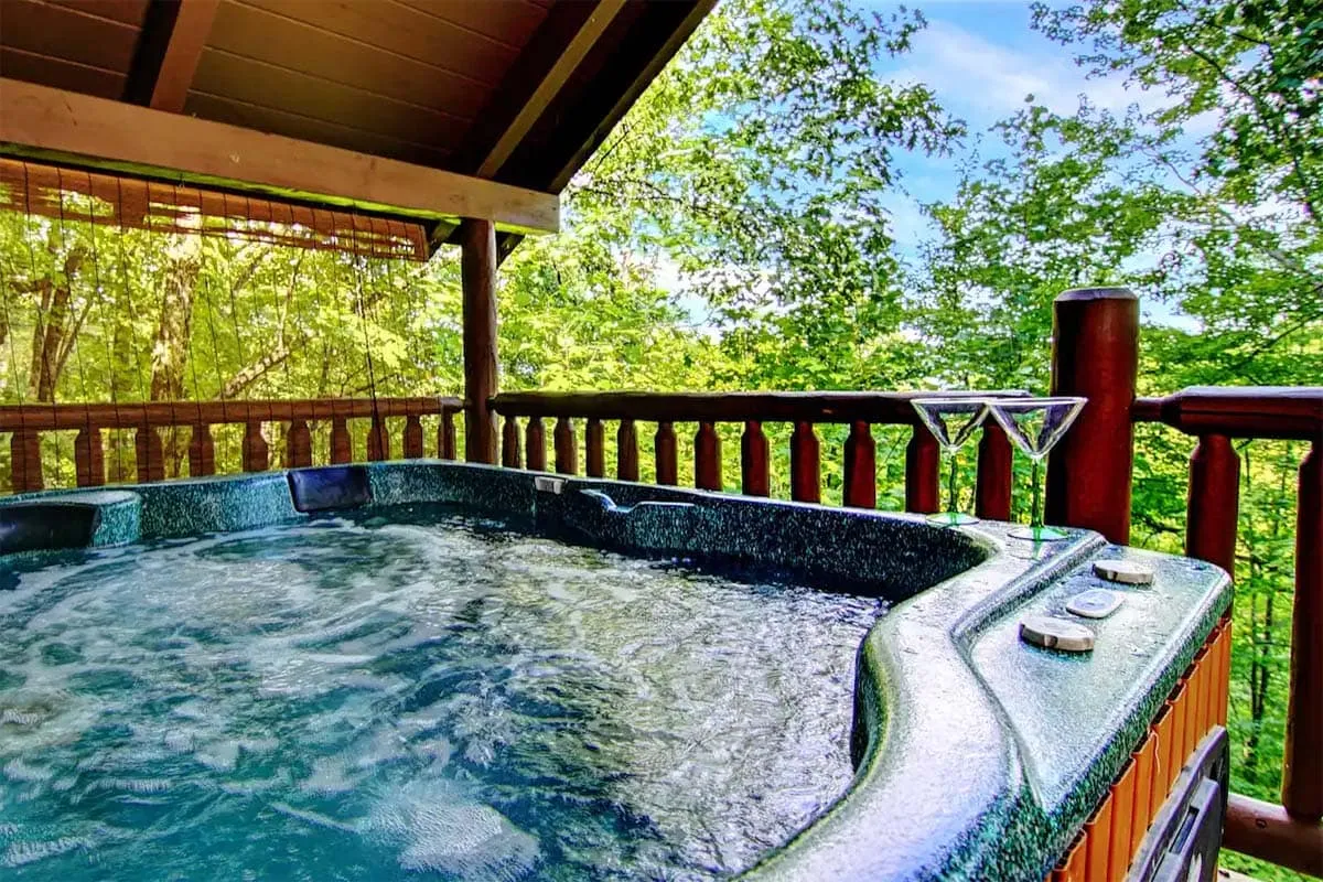 2254 gatlinburg theme park