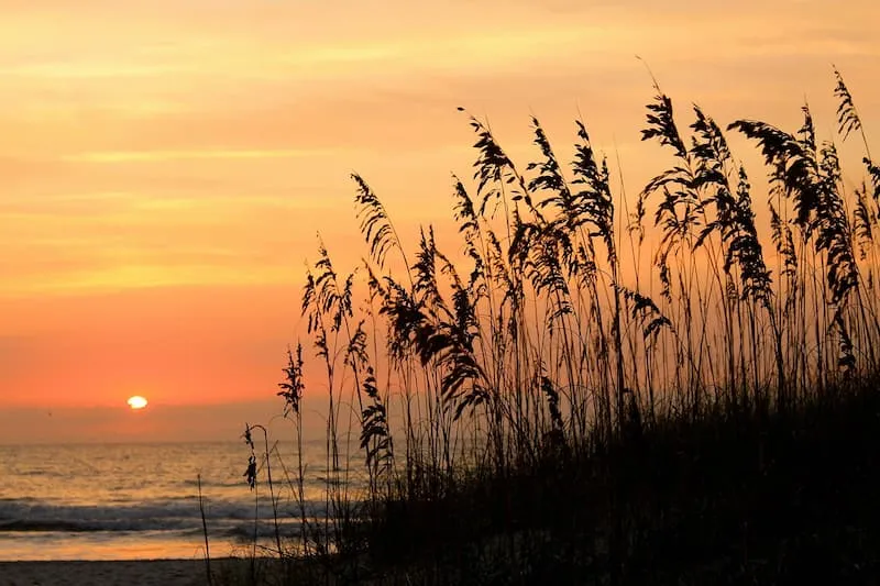 2258 honeymoon usa travel