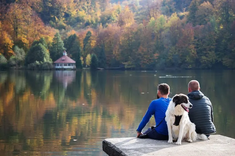 2258 jackson hole honeymoon