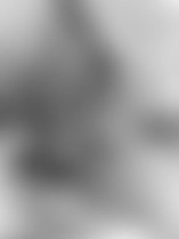 2286 honeymoon ambiance