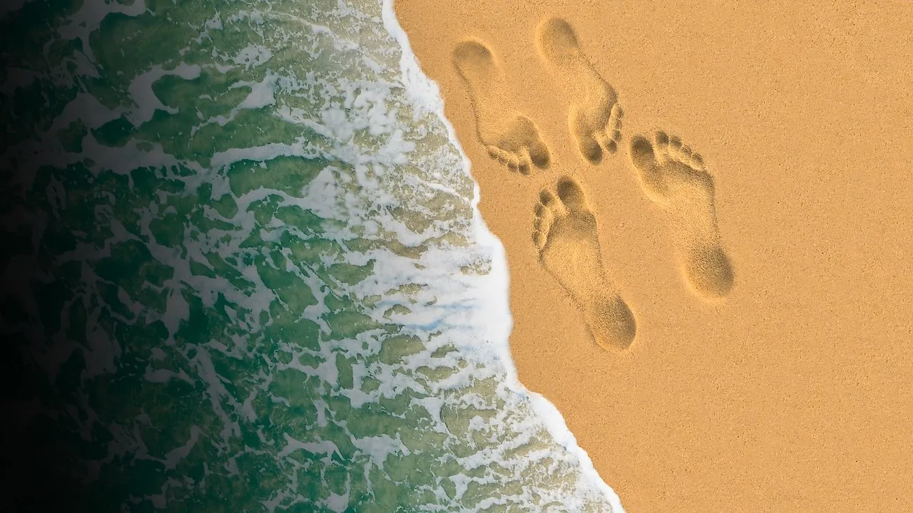 2297 island location reveal