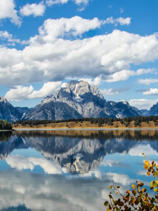 2314 charleston honeymoon